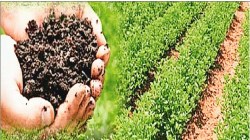 शेतीतील ‘कोबाल्ट’चे महत्त्व