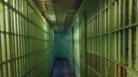 Nagpur imprisoners loksatta news Nagpur imprisoners loksatta news