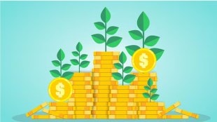 hsbc focused fund outperforms nifty 500 in 5-year sip return large cap alternative investment