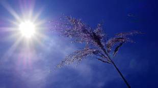 Temperatures likely to rise in Thane and Palghar districts