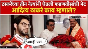 What did Aditya Thackeray say about three Thackeray leaders meeting Fadnavis