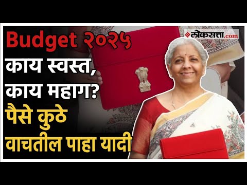 Union Budget 2025 detail explaination on expenditure and savings figures