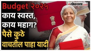 Union Budget 2025 detail explaination on expenditure and savings figures