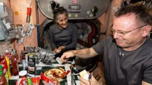 NASA food research