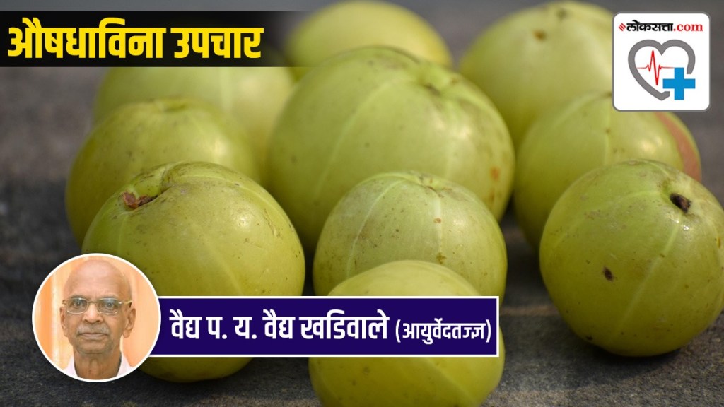 Amla and Karvand Health Benefits in Marathi | Nutrition Facts of Amla and Karvand Amla and Karvand Health Benefits in Marathi | Nutrition Facts of Amla and Karvand