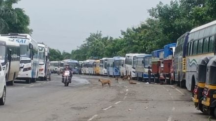 Private bus drivers charge fees Bus drivers block road instead of ground