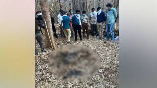 decomposed body of a tiger was found in Malkazari Chichgad Wildlife Sanctuary Gondia Forest Department