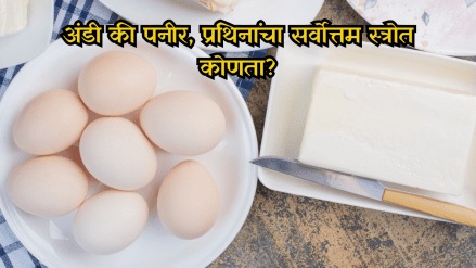 Egg Or Paneer Which Is The Better Source Of Protein
