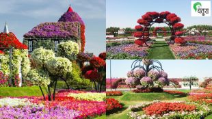 Nisargalipi preperation before creating garden