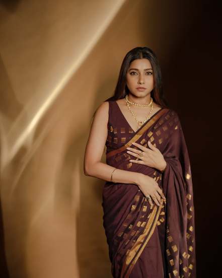 Gauri Nalawade Brown Saree Look