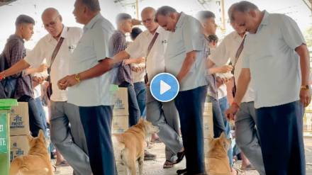 video shows Man feeds stray dog with his own hands