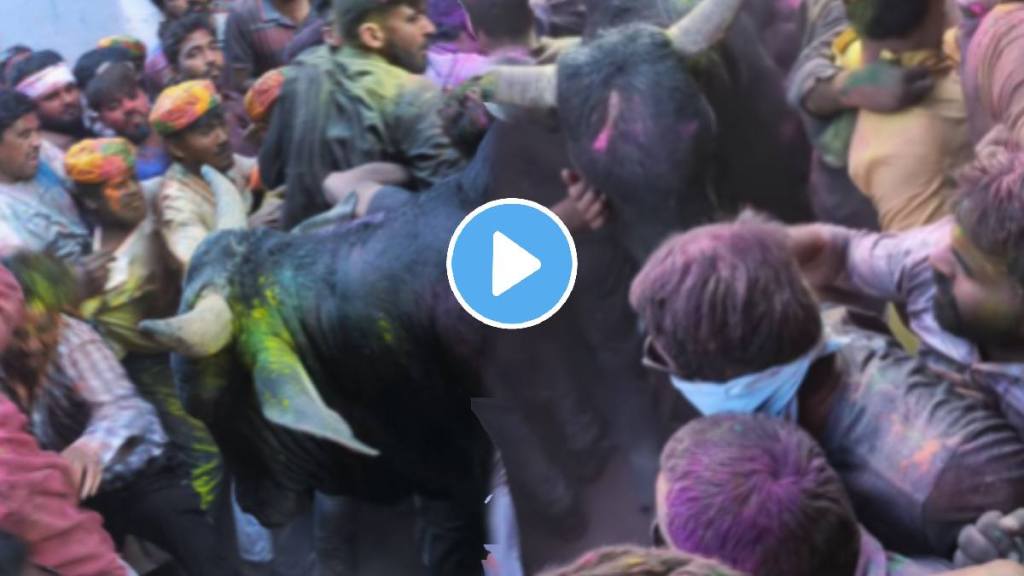 Holi shocking video An Angry Bull Attacked People While They Were Playing Holi Video Holi shocking video An Angry Bull Attacked People While They Were Playing Holi Video