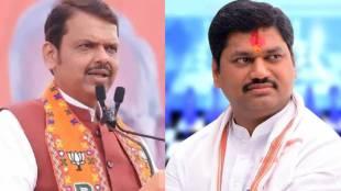 Devendra Fadnavis On Dhananjay Munde