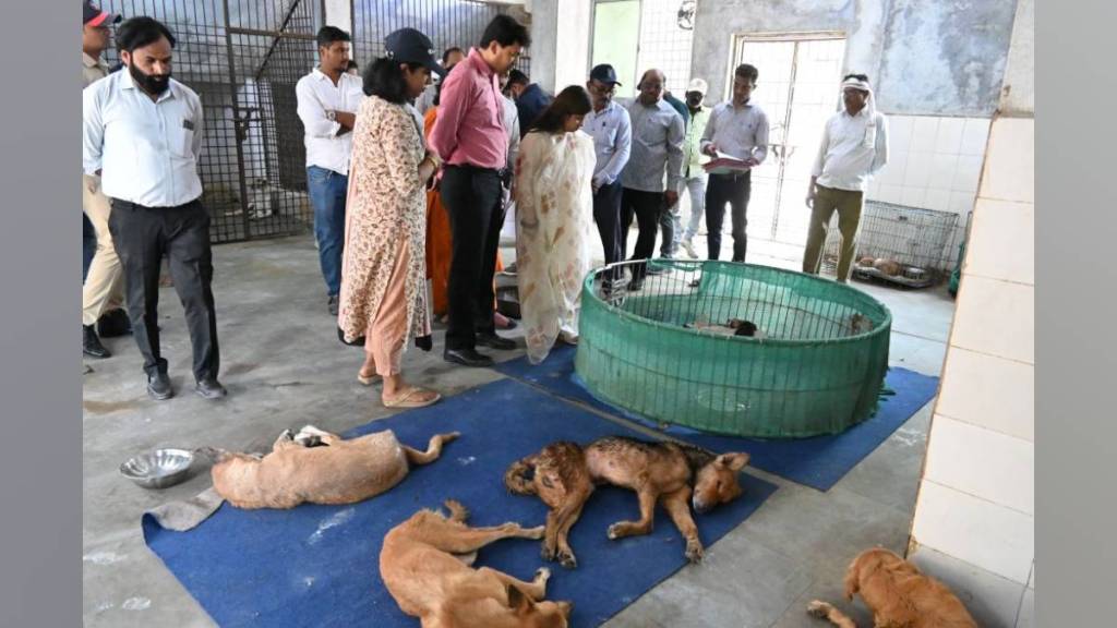 nagpur municipal corporation will redevelop bhandewadi shelter adding hospital quarantine center for stray dogs and space nagpur municipal corporation will redevelop bhandewadi shelter adding hospital quarantine center for stray dogs and space