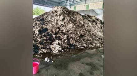 cotton , burnt, Madheli Paras Ginning, Fire ,