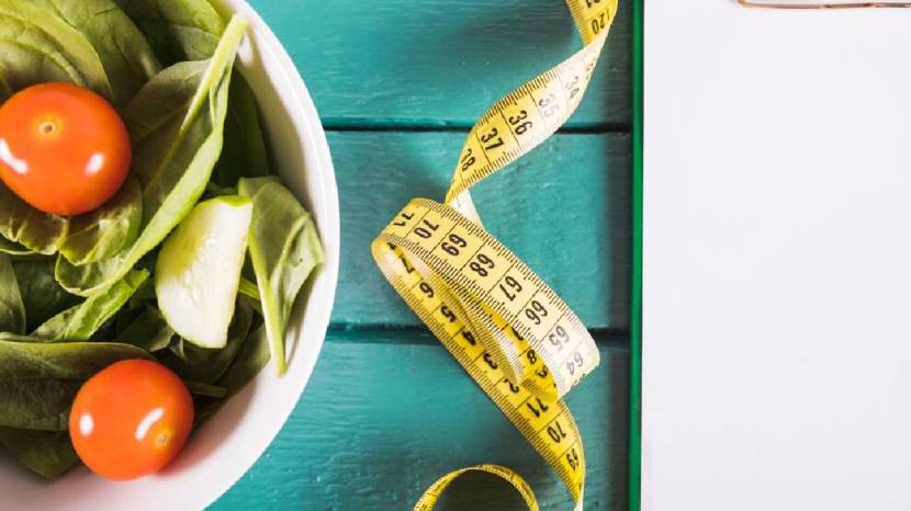 411 Body Fat Loss Diet