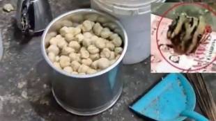 Mohali Momo Factory