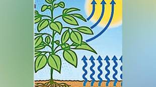 Groundwater evaporation, Groundwater ,