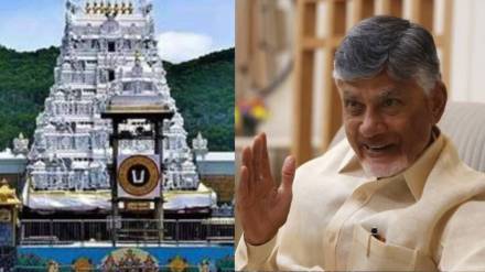 CM Chandrababu Naidu On Tirupati Temple :