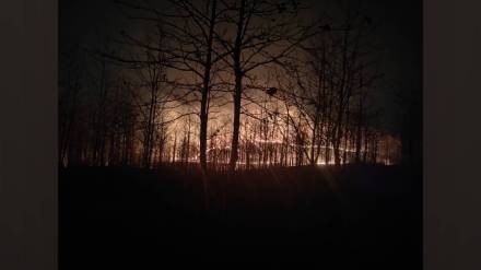 forest fires broke out saturday night in yavatmals vadgaon dhanora forest reserve