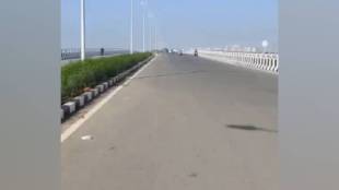 two new flyovers on thane Creek are complete with the vashi mumbai flyover expected to open soon