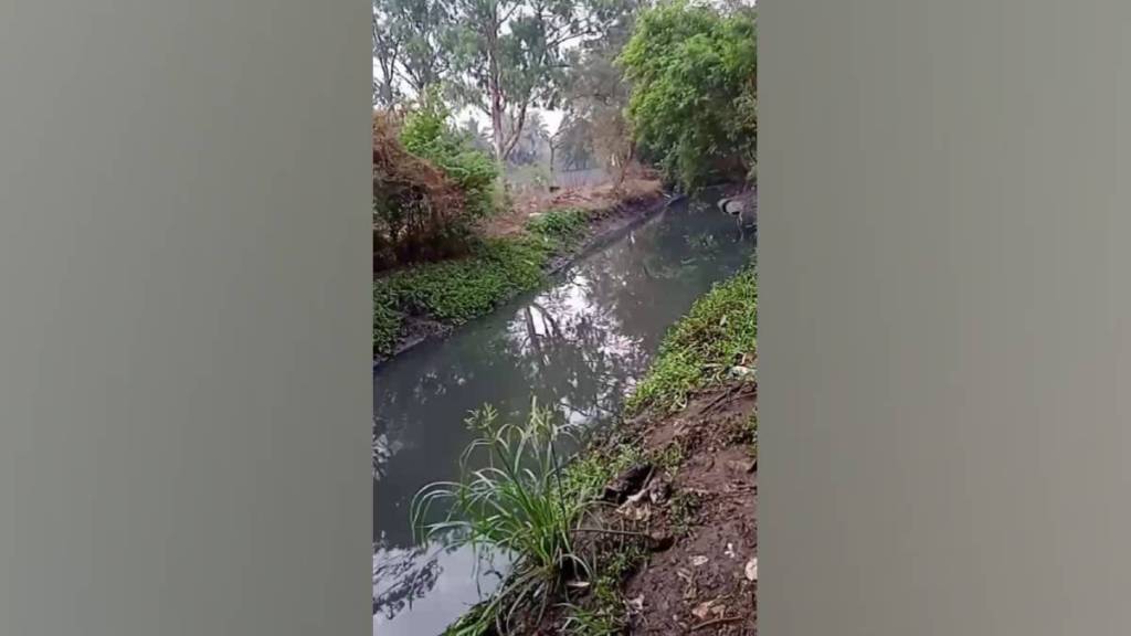 kolhapur municipal corporations budget reveals sewage is contaminating Panchganga River and rankala Lake