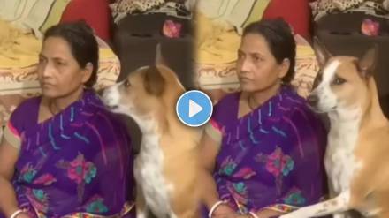 dog crying for owner