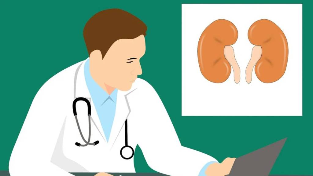 supplements, fitness, kidney , damage ,