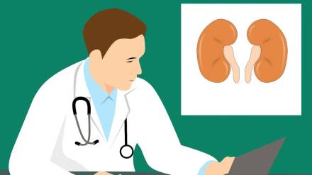 supplements, fitness, kidney , damage ,