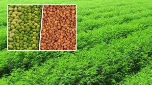 Relief , domestic producers, import duty,