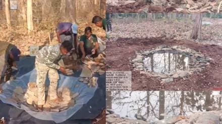 water for wild animals water for wild animals