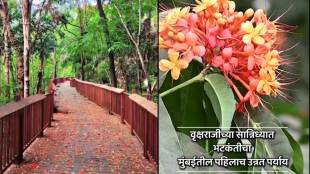 malabar hill walkway