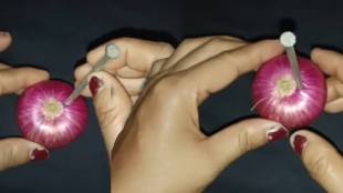 kitchen jugad nail in onion remedies to keep lizard away kitchen tips marathi