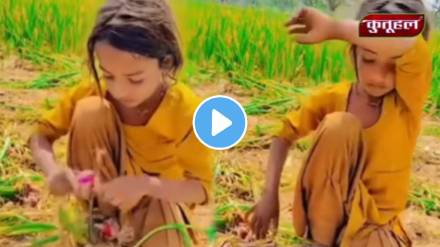 A little girl is working in the farm under the hot sun emotional video