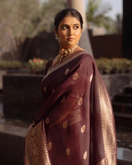 Rinku Rajguru Brown Banarasi Saree Look