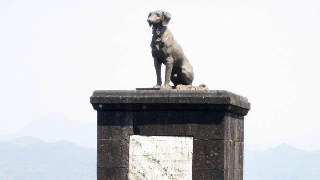 Historian Opinions on Chhatrapati Shivaji Maharaj's dog Waghya Statue Raigad