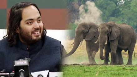 anant ambani Vantaara project