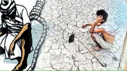 farmers suicide loksatta article farmers suicide loksatta article