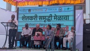 indapur sorghum