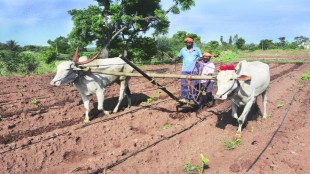 salary of farm workers