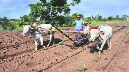 salary of farm workers