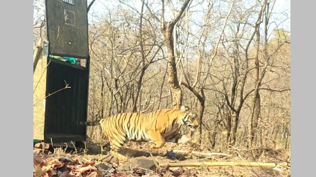 brahmapuri forest division