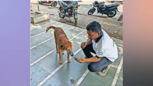 Survey of dogs and cats in Panvel India