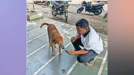 Survey of dogs and cats in Panvel India