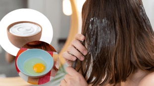 केसांWhy do people apply curd and egg to their hair?ना दही अन् अंडे