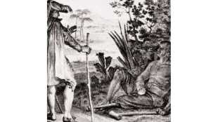 Voltaire world exploration,