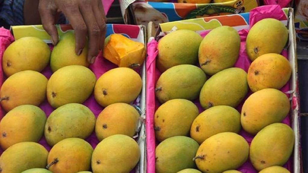 pune market hapus mango price expensive gudi padwa 2025 festival