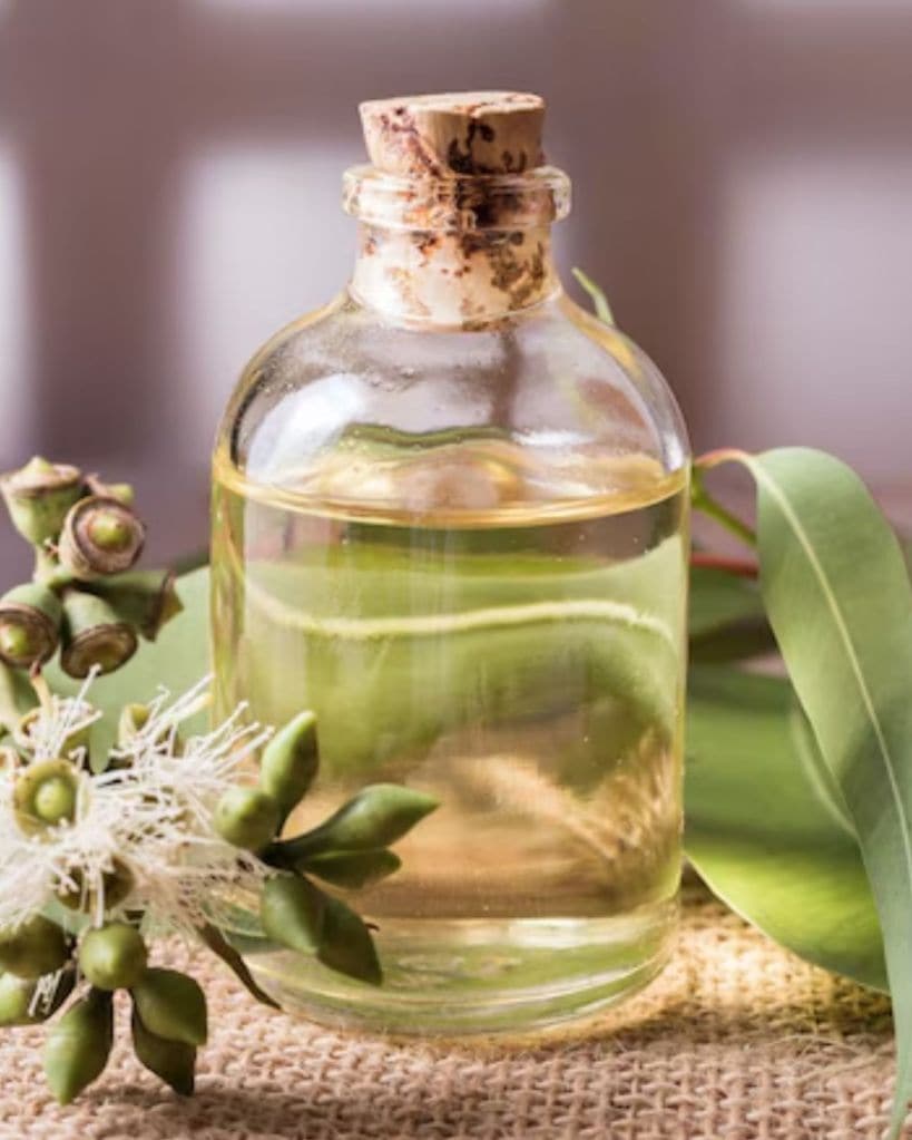 Eucalyptus Oil