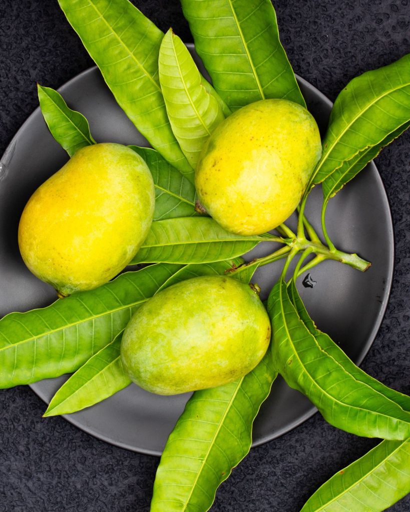 mango leaves benefits