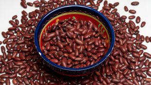 Cooking Kidney Beans Properly